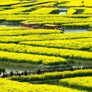 泰州旅游 缩略图 2
