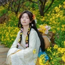 黄山旅游 缩略图 10
