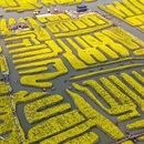泰州旅游 缩略图 4