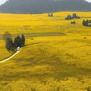 昆明旅游 缩略图 4