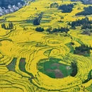 昆明旅游 缩略图 1