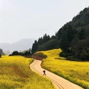昆明旅游 缩略图 2