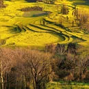 昆明旅游 缩略图 3