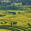 昆明旅游 缩略图 6