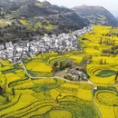昆明旅游 缩略图 7