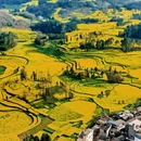 昆明旅游 缩略图 3