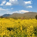 昆明旅游 缩略图 7