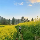 昆明旅游 缩略图 5