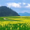 曲靖旅游 缩略图 4