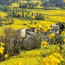 昆明旅游 缩略图 10