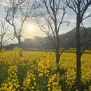 昆明旅游 缩略图 9