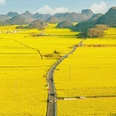 曲靖旅游 缩略图 3