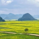 曲靖旅游 缩略图 6