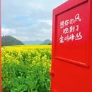 曲靖旅游 缩略图 5