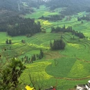 曲靖旅游 缩略图 7