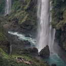 曲靖旅游 缩略图 14