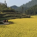 曲靖旅游 缩略图 1