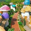 曲靖旅游 缩略图 17