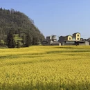 曲靖旅游 缩略图 4