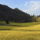 曲靖旅游 缩略图 2