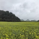 昆明旅游 缩略图 3