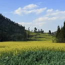 曲靖旅游 缩略图 9
