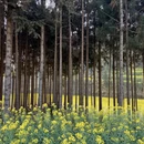 曲靖旅游 缩略图 10