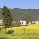 曲靖旅游 缩略图 7