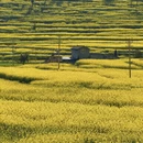 曲靖旅游 缩略图 15