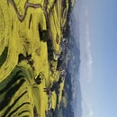 曲靖旅游 缩略图 18