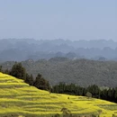 曲靖旅游 缩略图 14