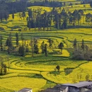 昆明旅游 缩略图 6