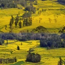 昆明旅游 缩略图 8