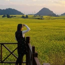 昆明旅游 缩略图 13