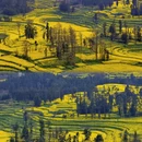 昆明旅游 缩略图 7