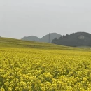 昆明旅游 缩略图 13