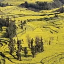 昆明旅游 缩略图 8