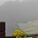 昆明旅游 缩略图 11