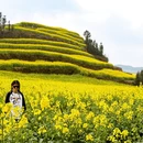 昆明旅游 缩略图 5