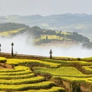 昆明旅游 缩略图 3
