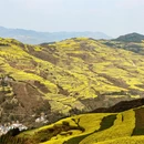 昆明旅游 缩略图 2
