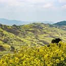 昆明旅游 缩略图 9