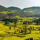 昆明旅游 缩略图 7