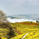 昆明旅游 缩略图 6