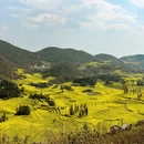 昆明旅游 缩略图 8