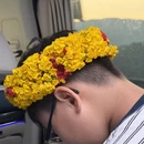 昆明旅游 缩略图 12