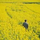 昆明旅游 缩略图 5
