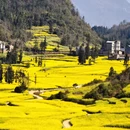 曲靖旅游 缩略图 1