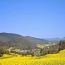 曲靖旅游 缩略图 3