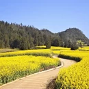 曲靖旅游 缩略图 9